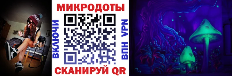 Псилоцибиновые грибы Psilocybe  Гороховец 